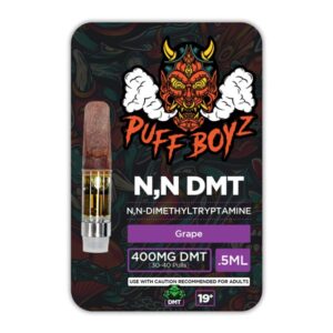 Buy Puff Boyz -NN DMT 0.5ML(400MG) Cartridge – Grape Online USA
